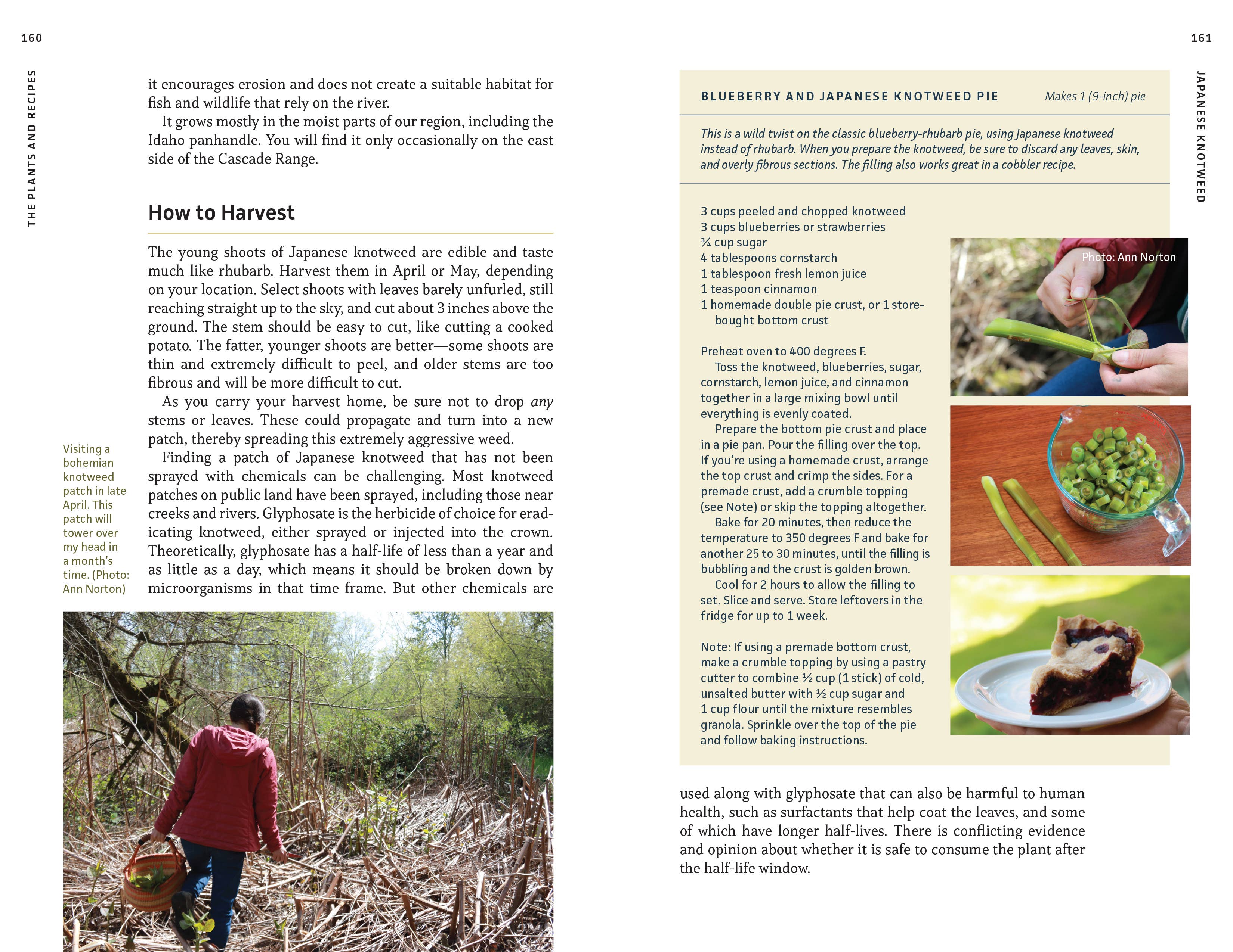 Edible Plants of the Pacific Northwest