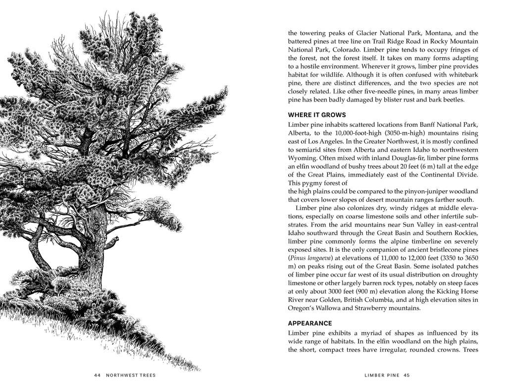Northwest Trees, 2nd Edition