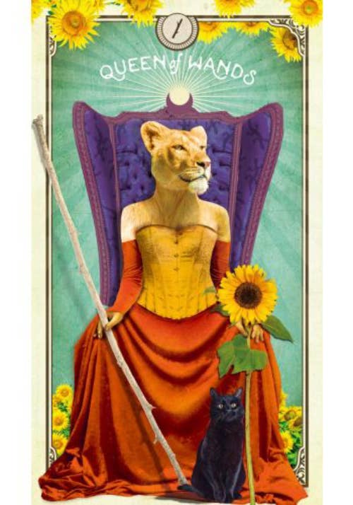 Tarot Of Curious Creatures Cards And Guidebook Hay House