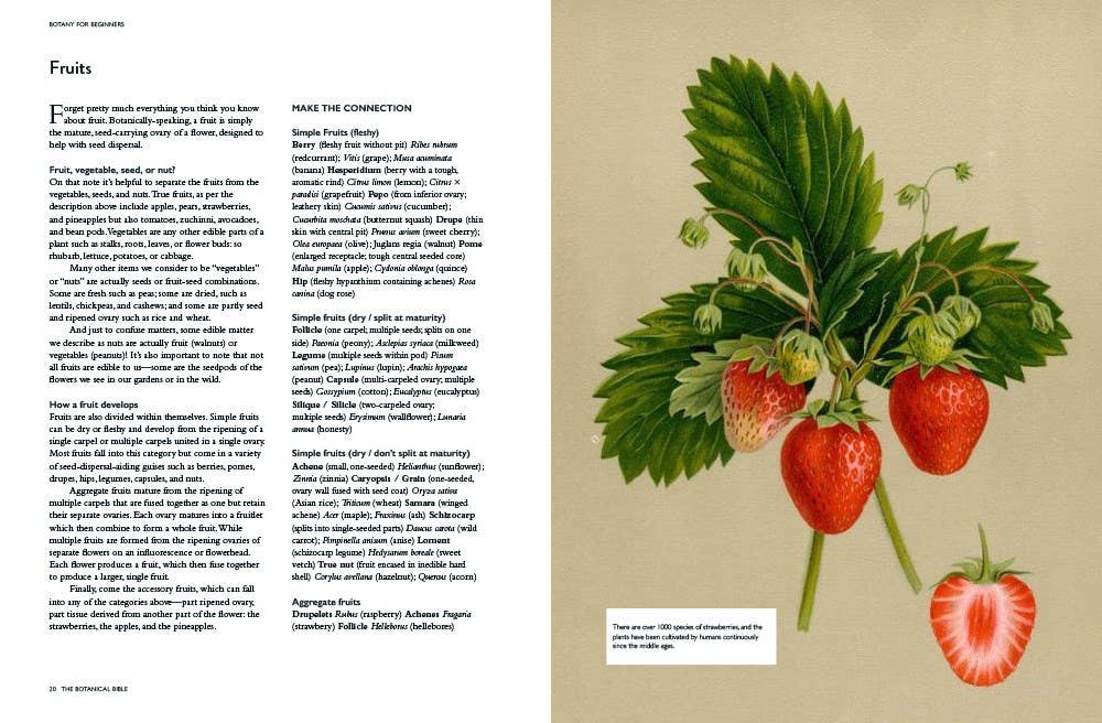 Botanical Bible