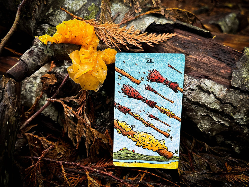 Mushroom Hunter's Arcanum