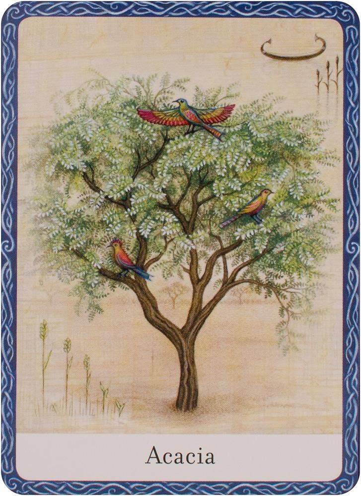 Wisdom Of Trees Oracle Cards Watkins Publishing