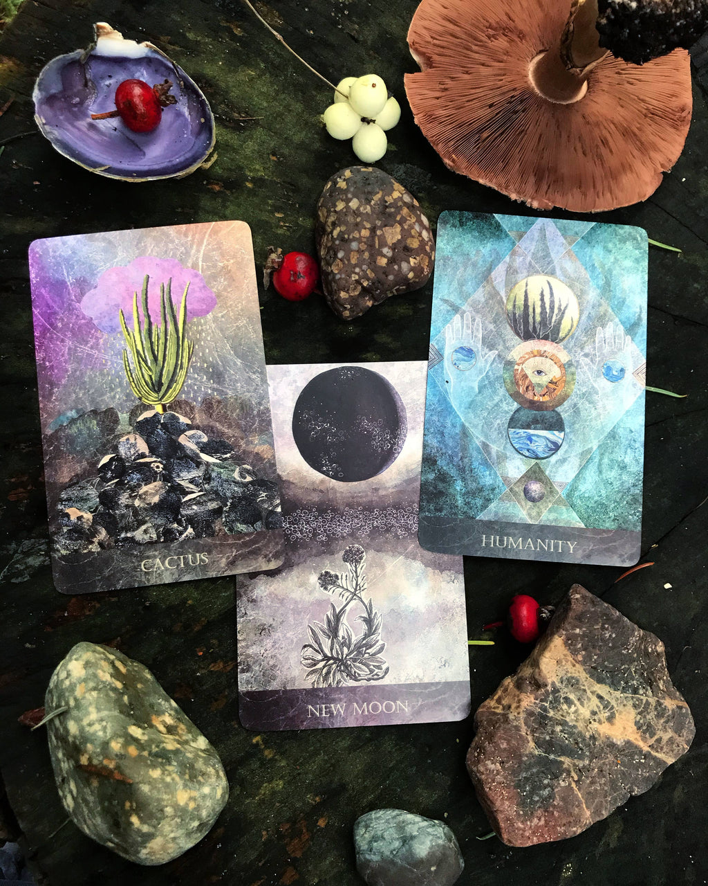 Faceted Garden Oracle