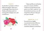 Practical Witch's Love Spell Deck: 100 Rituals For Passion