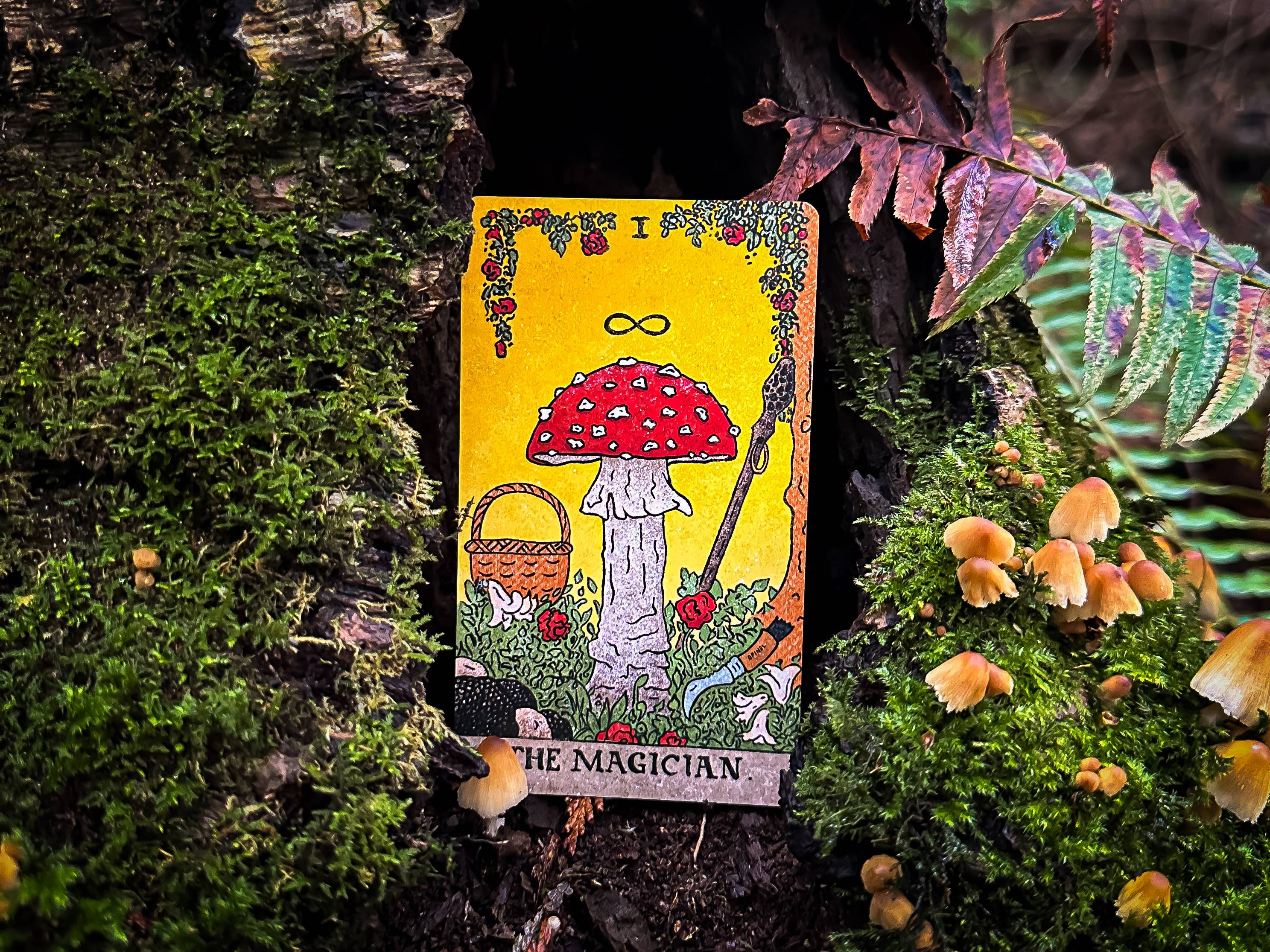 Mushroom Hunter's Arcanum