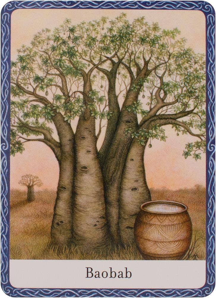 Wisdom Of Trees Oracle Cards Watkins Publishing