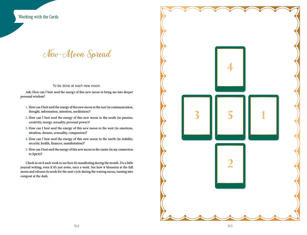 Gaian Tarot: Healing the Earth, Healing Ourselves, 2nd Ed.