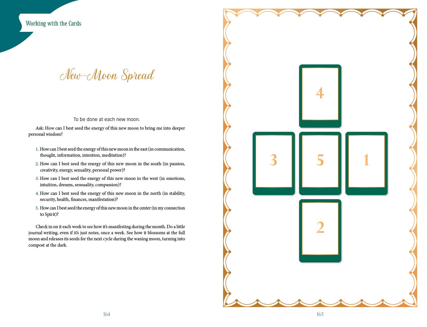 Gaian Tarot: Healing the Earth, Healing Ourselves, 2nd Ed.