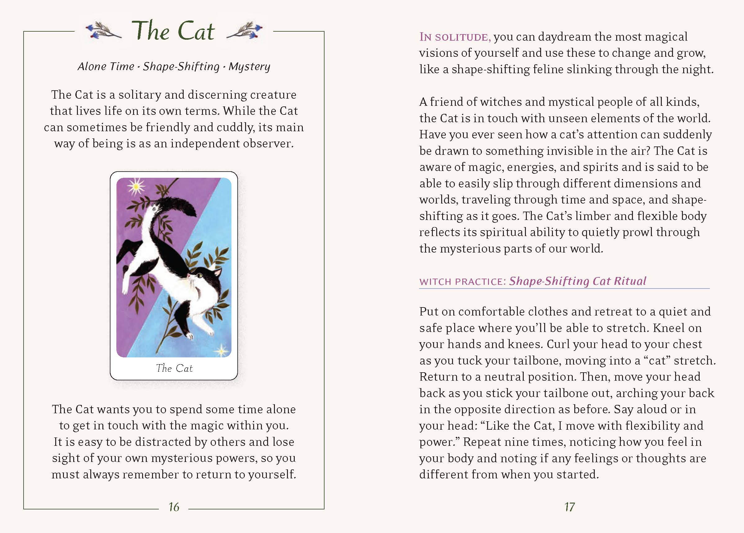 Little Witch's Oracle Deck