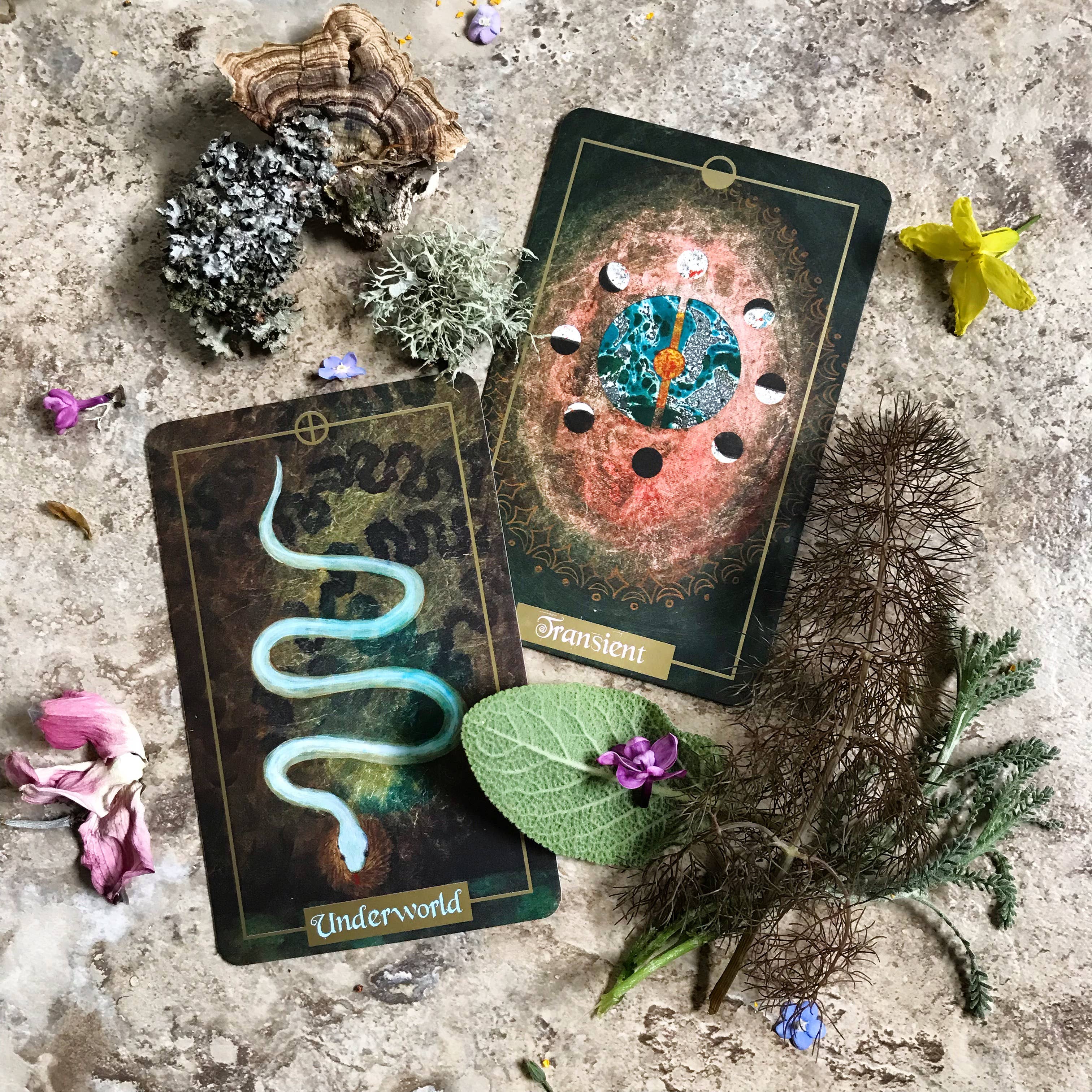 Illuminated Earth Oracle