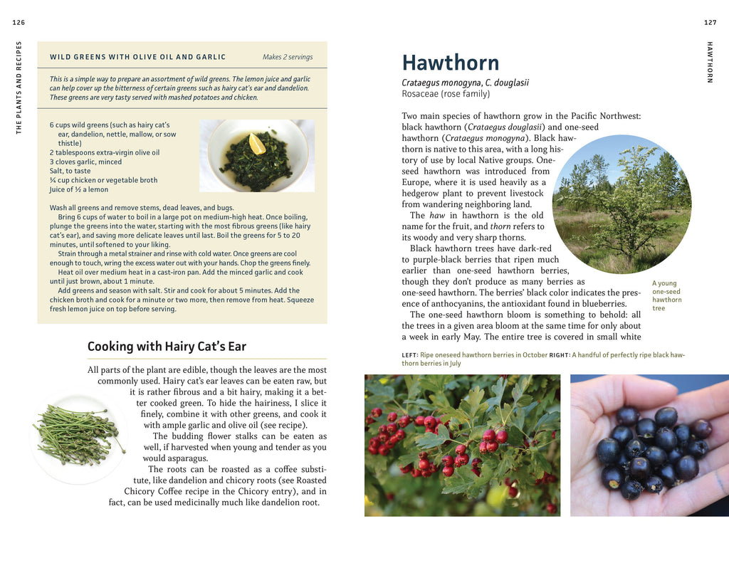 Edible Plants of the Pacific Northwest