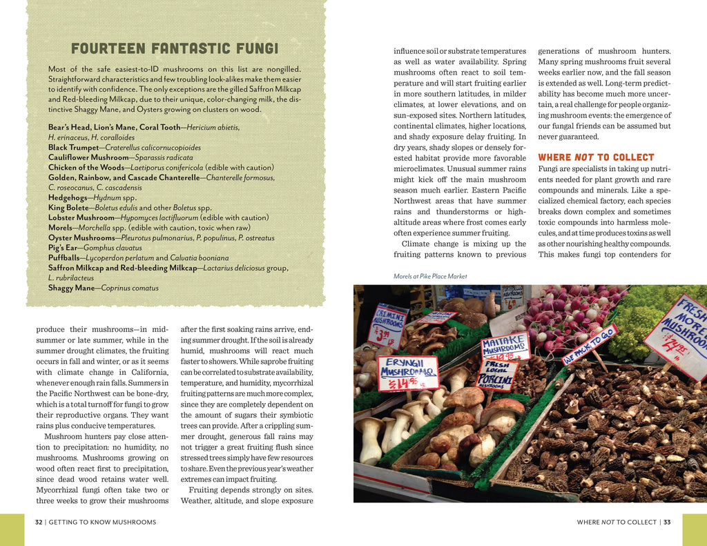 Fruits of the Forest