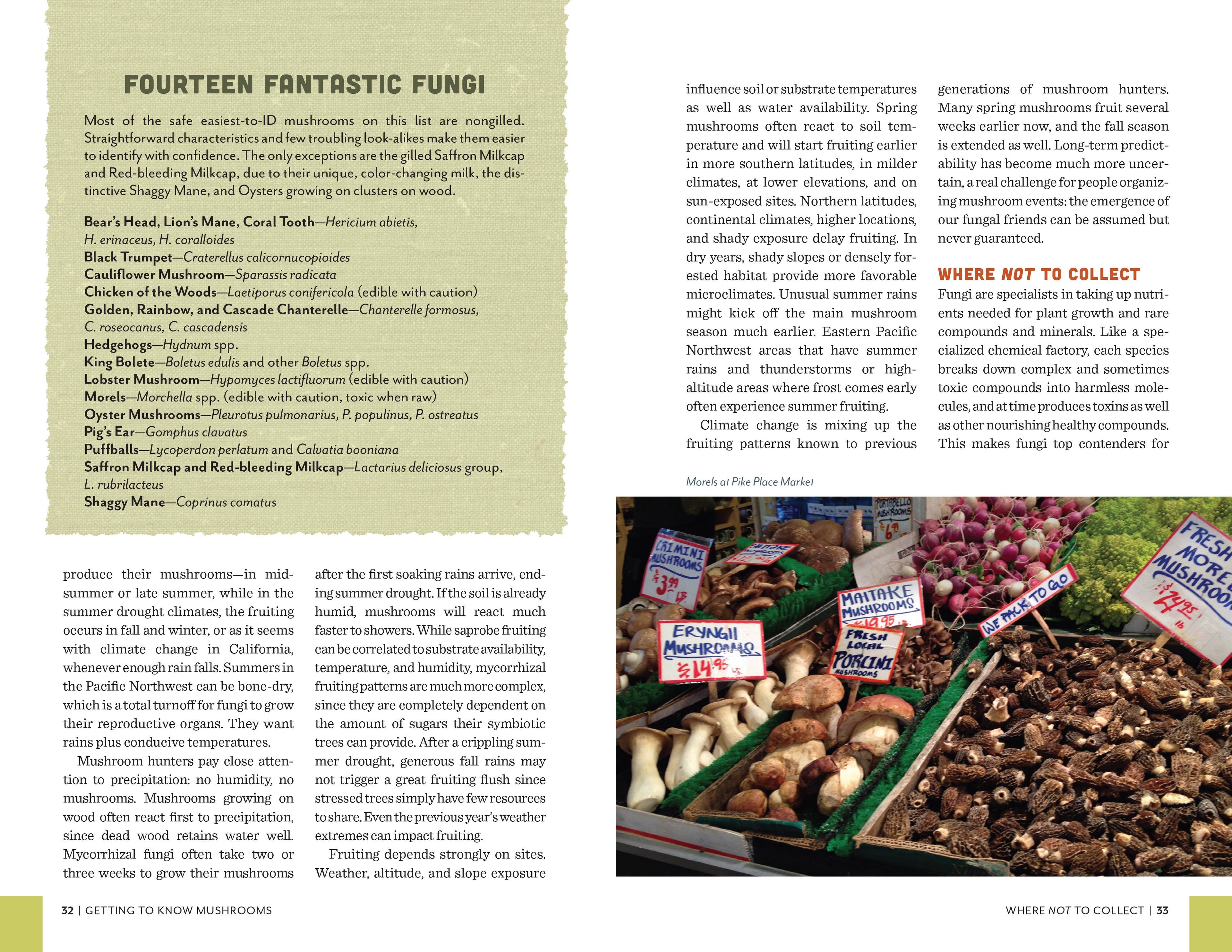 Fruits of the Forest