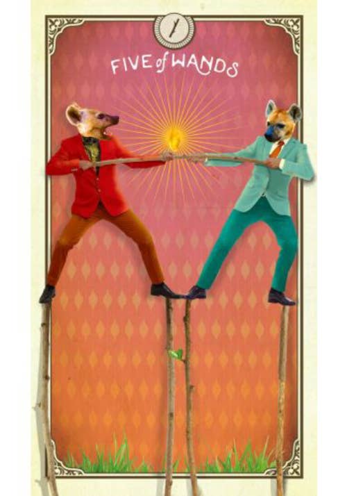 Tarot Of Curious Creatures Cards And Guidebook Hay House