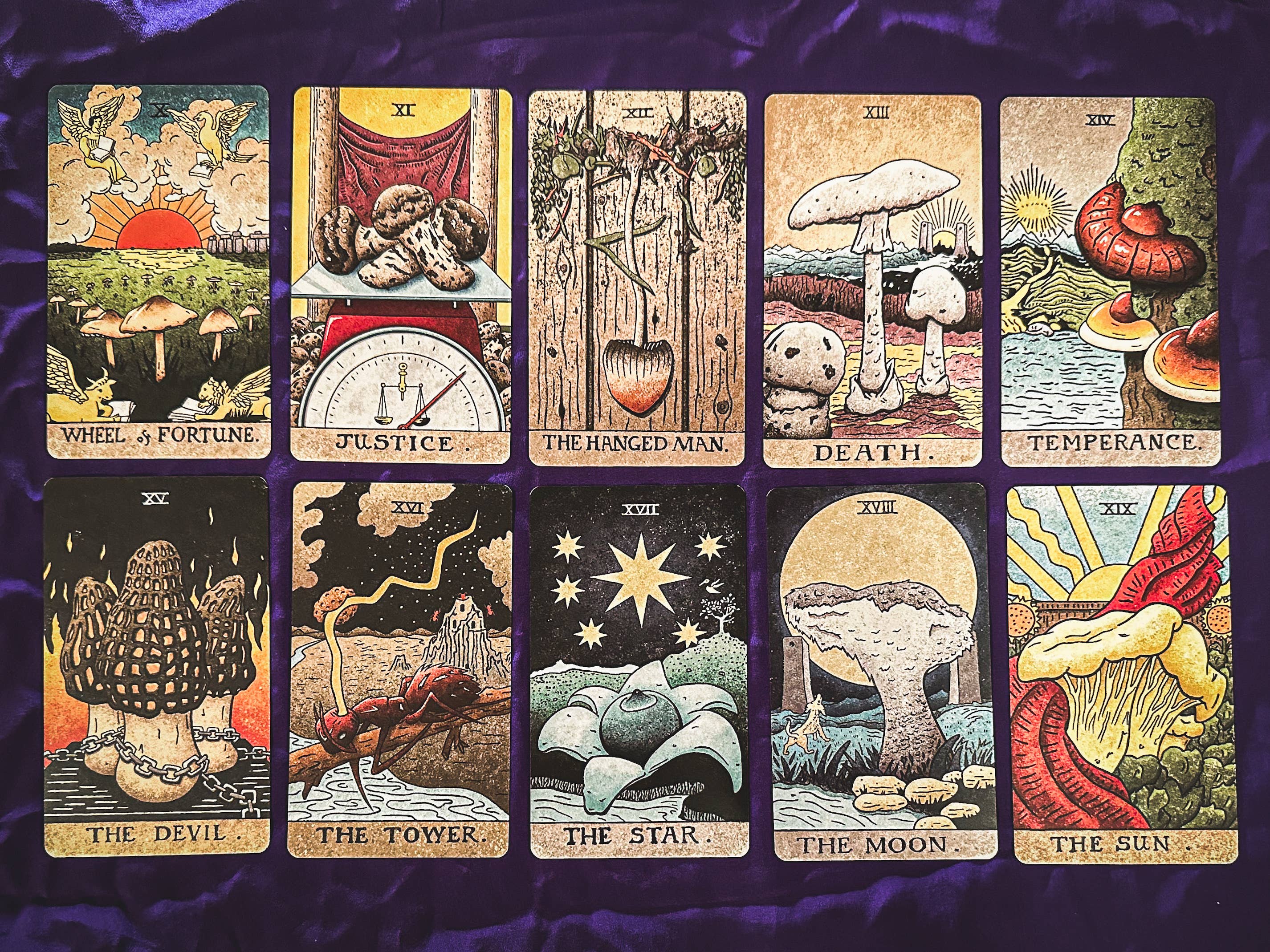 Mushroom Hunter's Arcanum