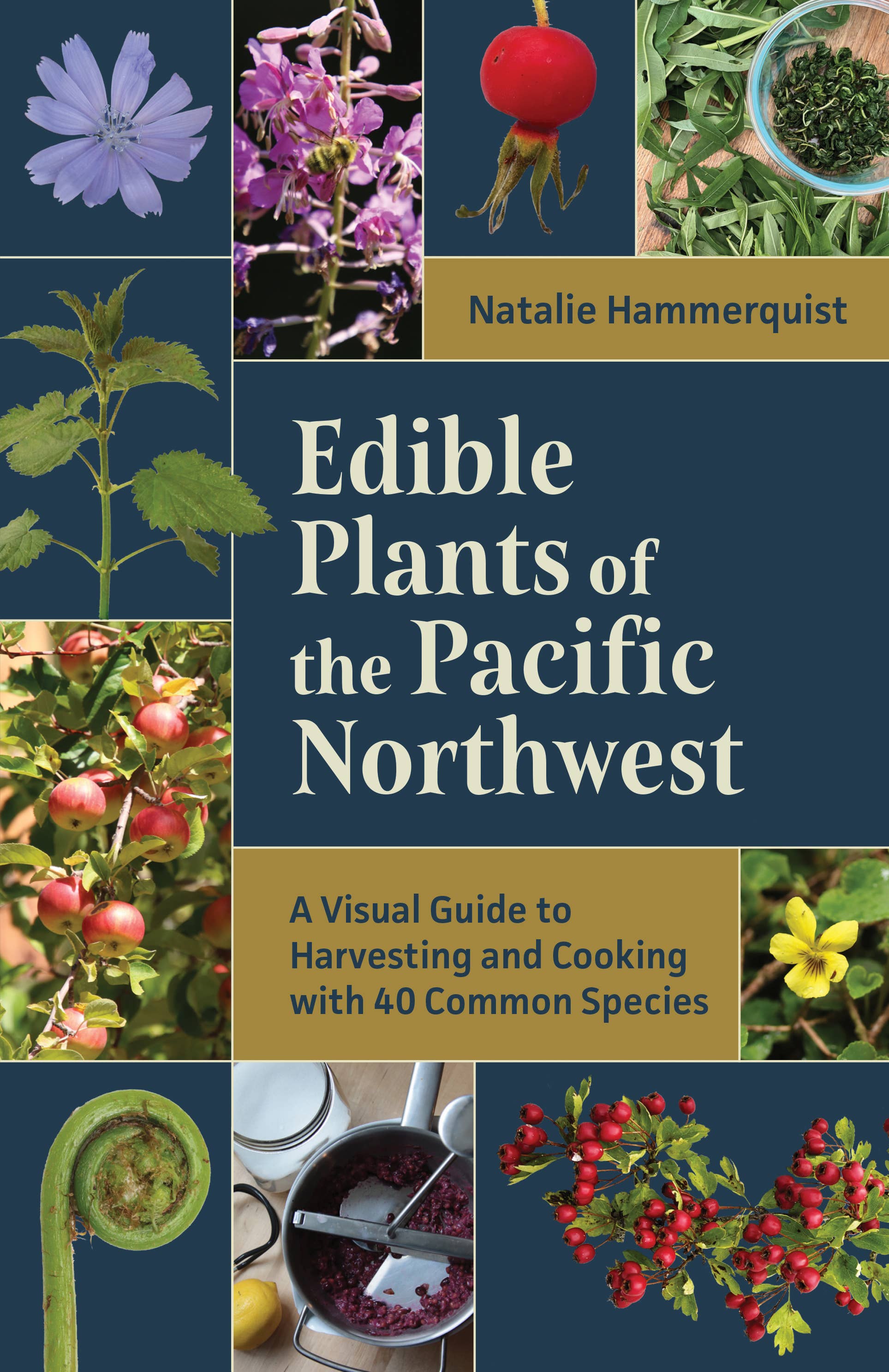 Edible Plants of the Pacific Northwest