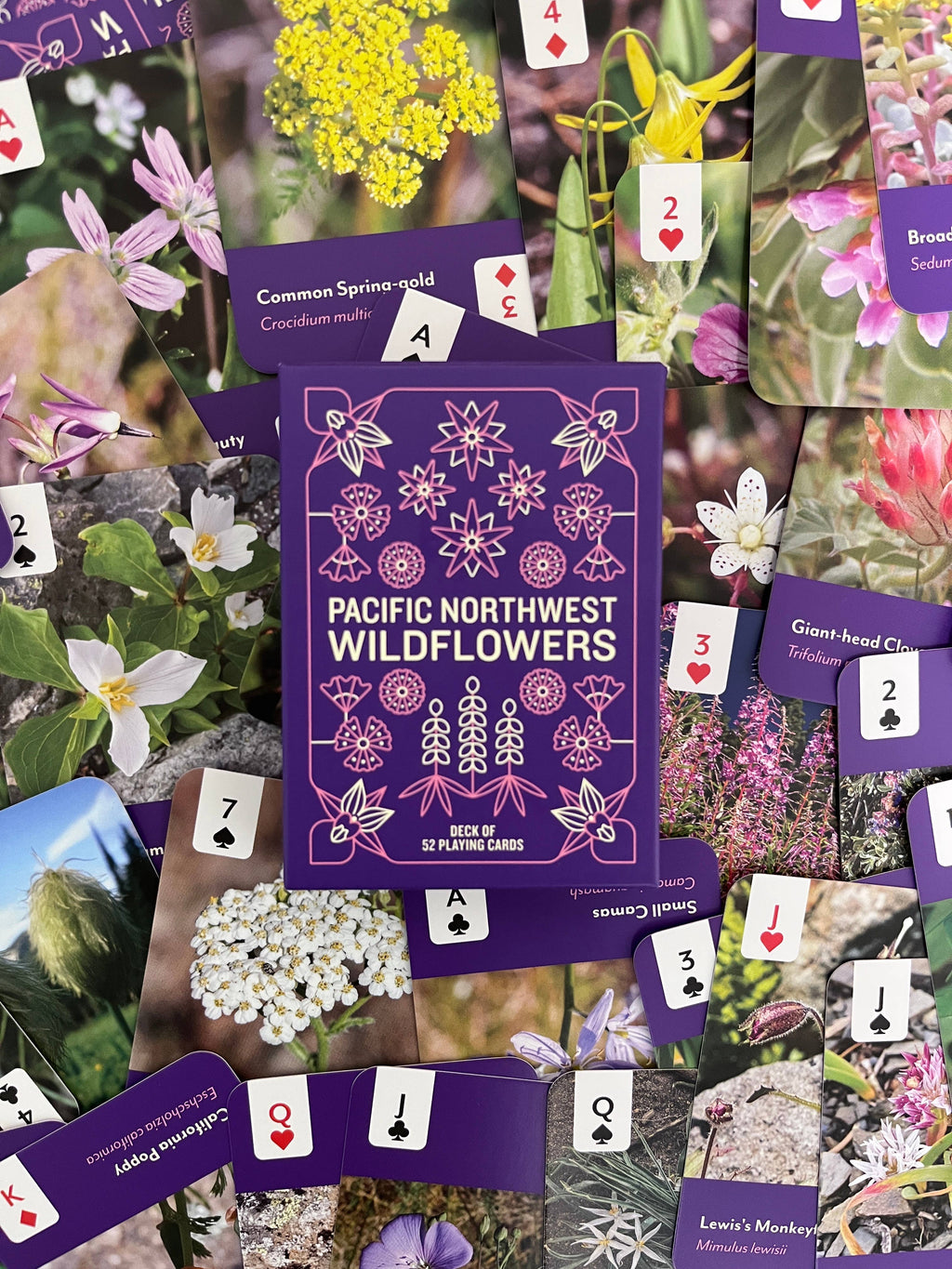Pacific Northwest Wildflowers Deck