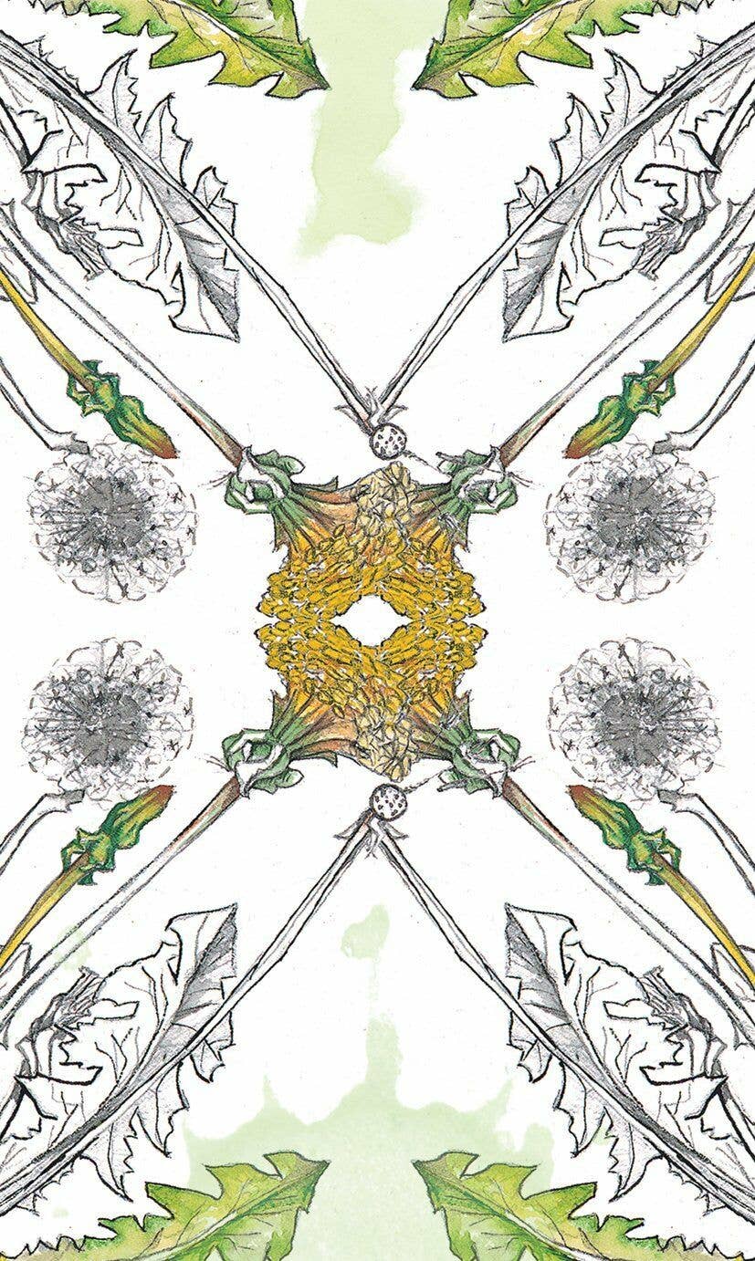 Hedgewitch Botanical Oracle Cards Llewellyn