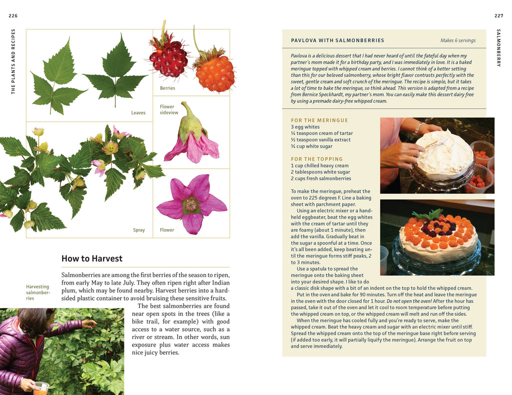 Edible Plants of the Pacific Northwest