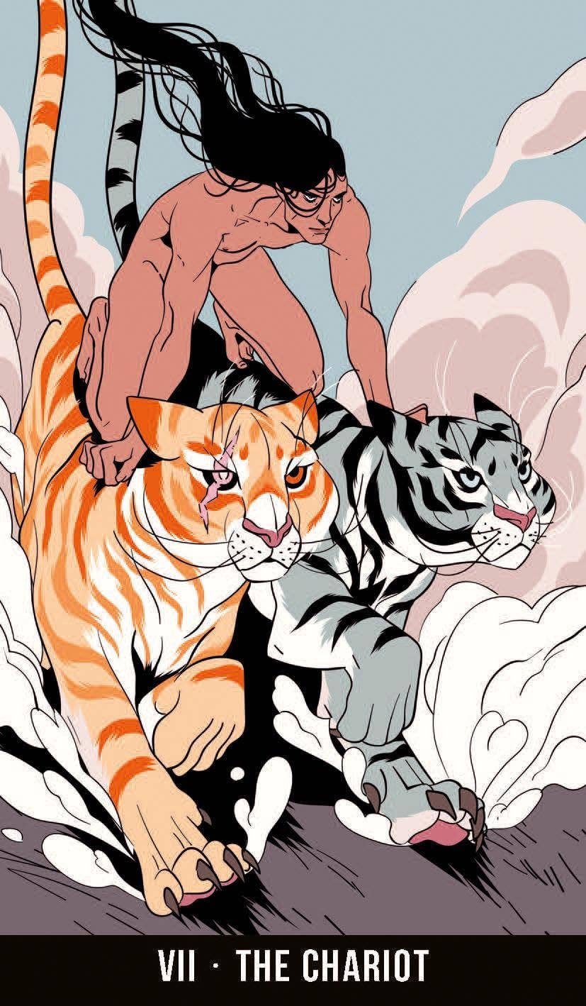 Wild Eden Tarot Cards Lo Scarabeo