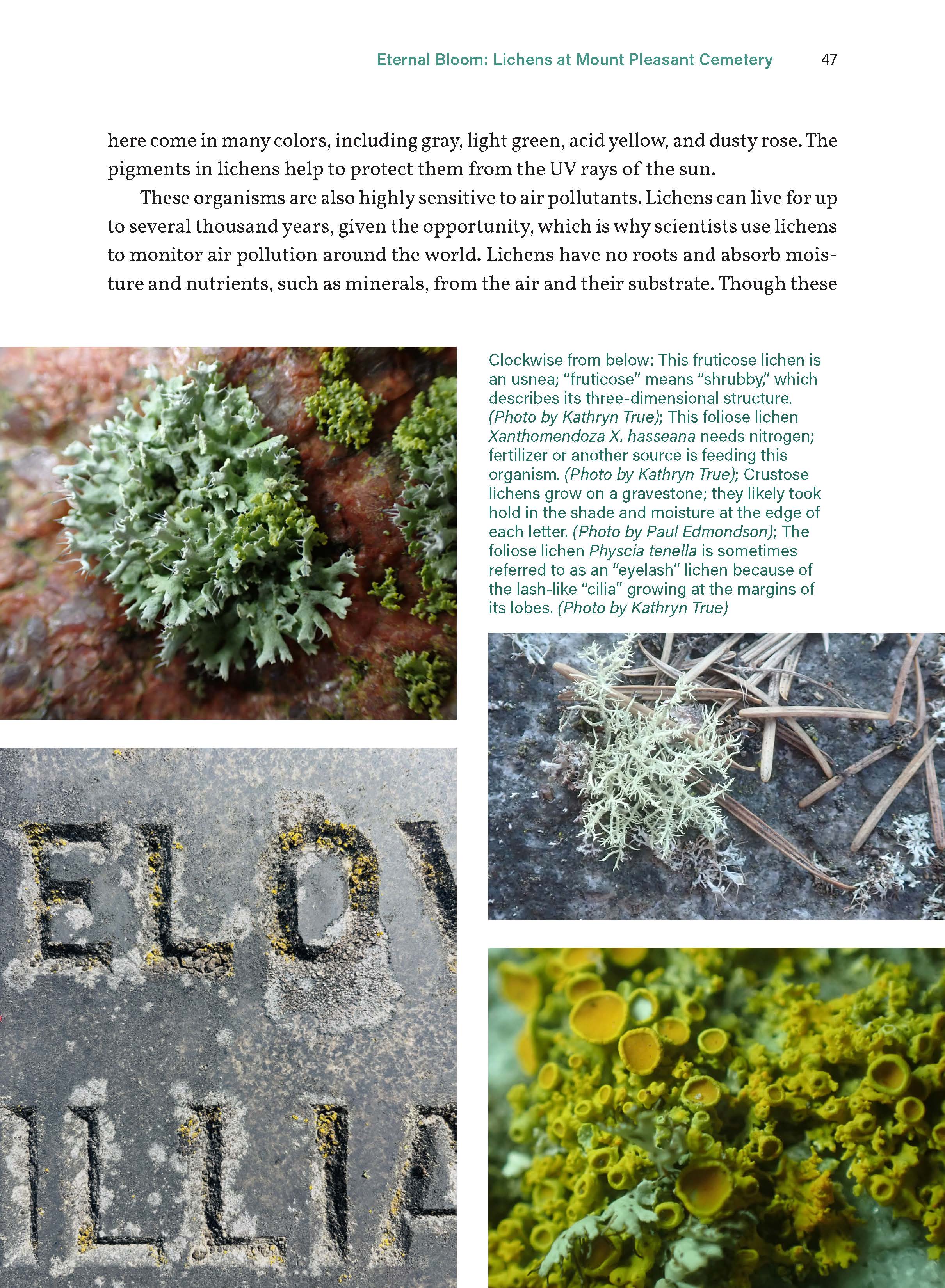 Seattle Field Guide: Explore Nature in the City