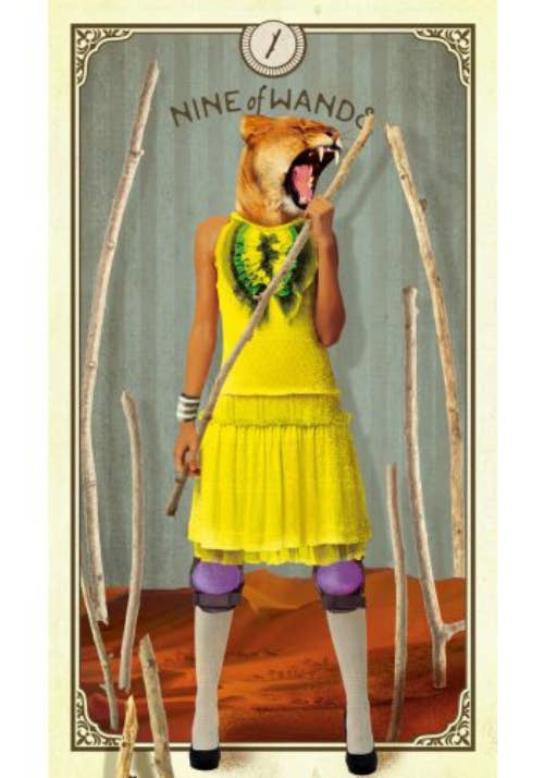 Tarot Of Curious Creatures Cards And Guidebook Hay House