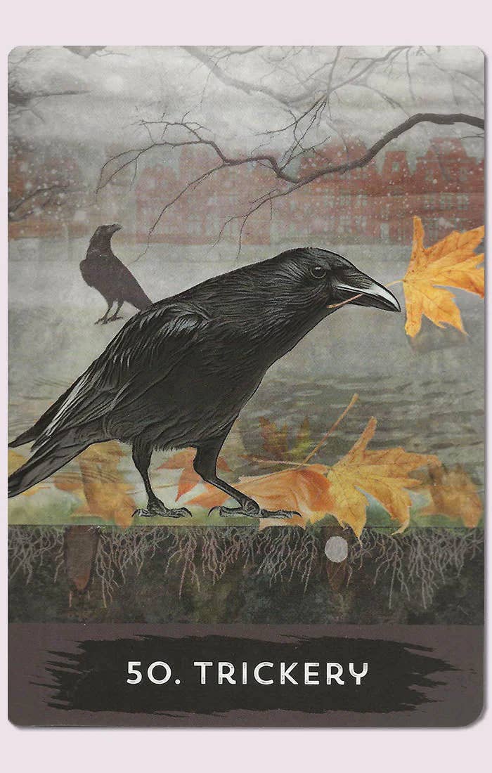 Urban Crow Oracle Cards