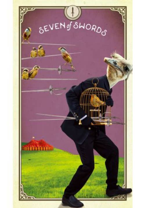 Tarot Of Curious Creatures Cards And Guidebook Hay House