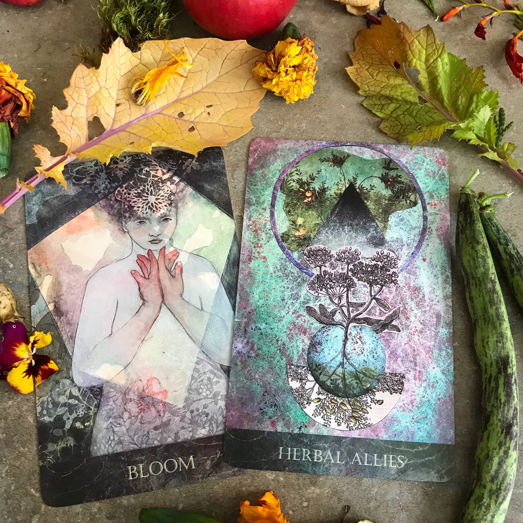 Faceted Garden Oracle
