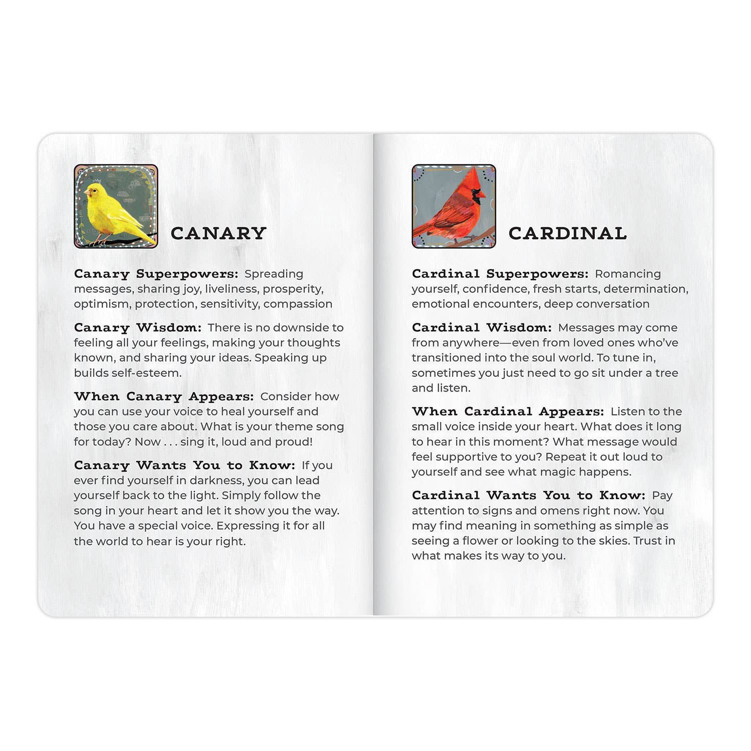 Animal Allies Birds Deck