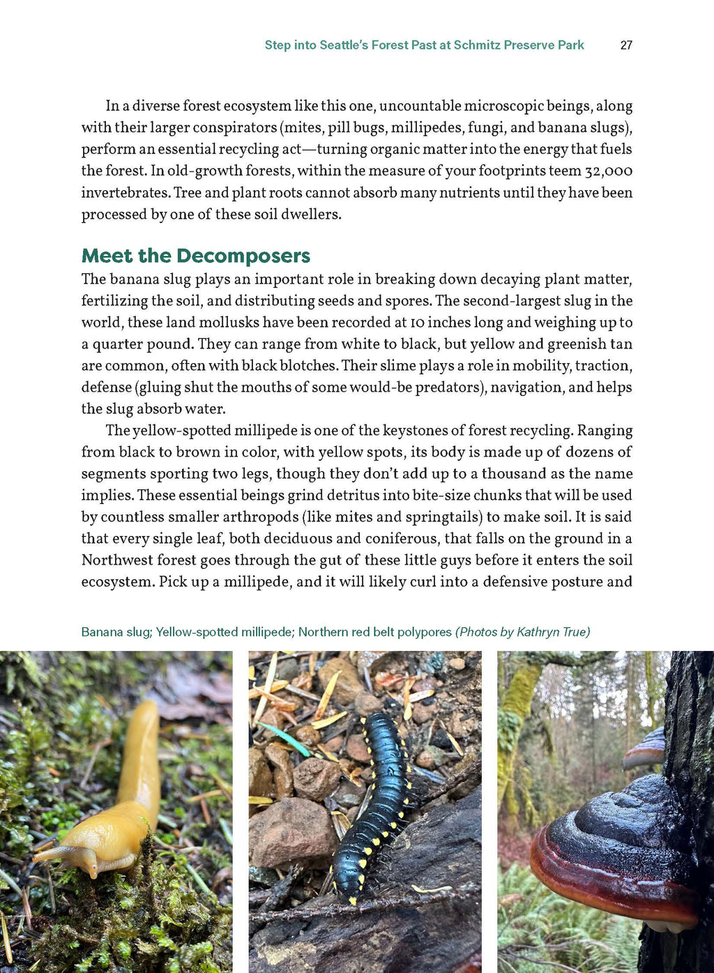Seattle Field Guide: Explore Nature in the City