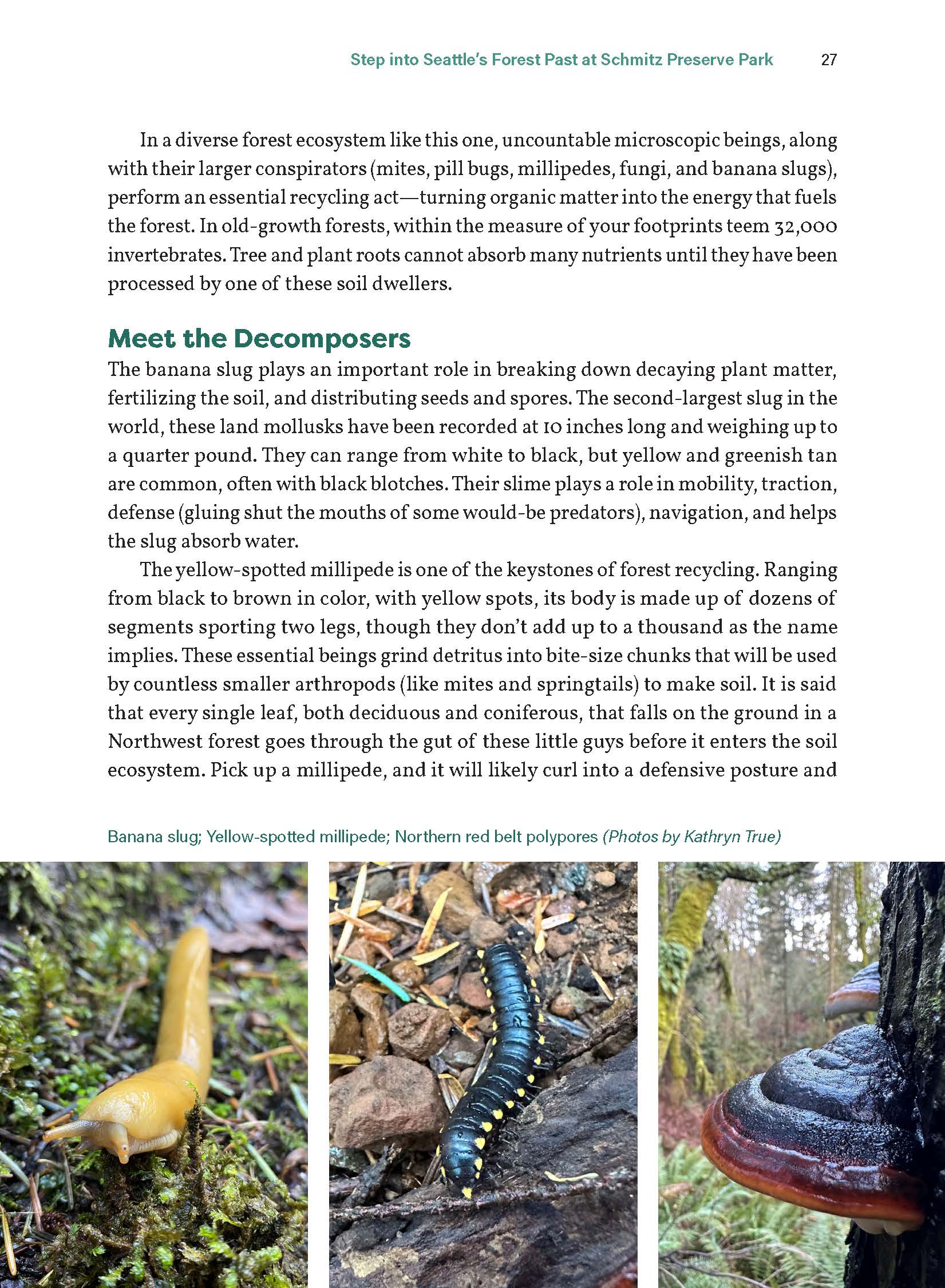 Seattle Field Guide: Explore Nature in the City