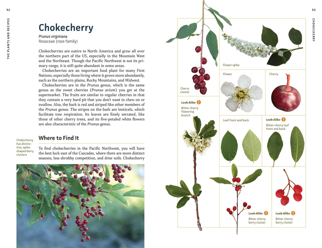 Edible Plants of the Pacific Northwest