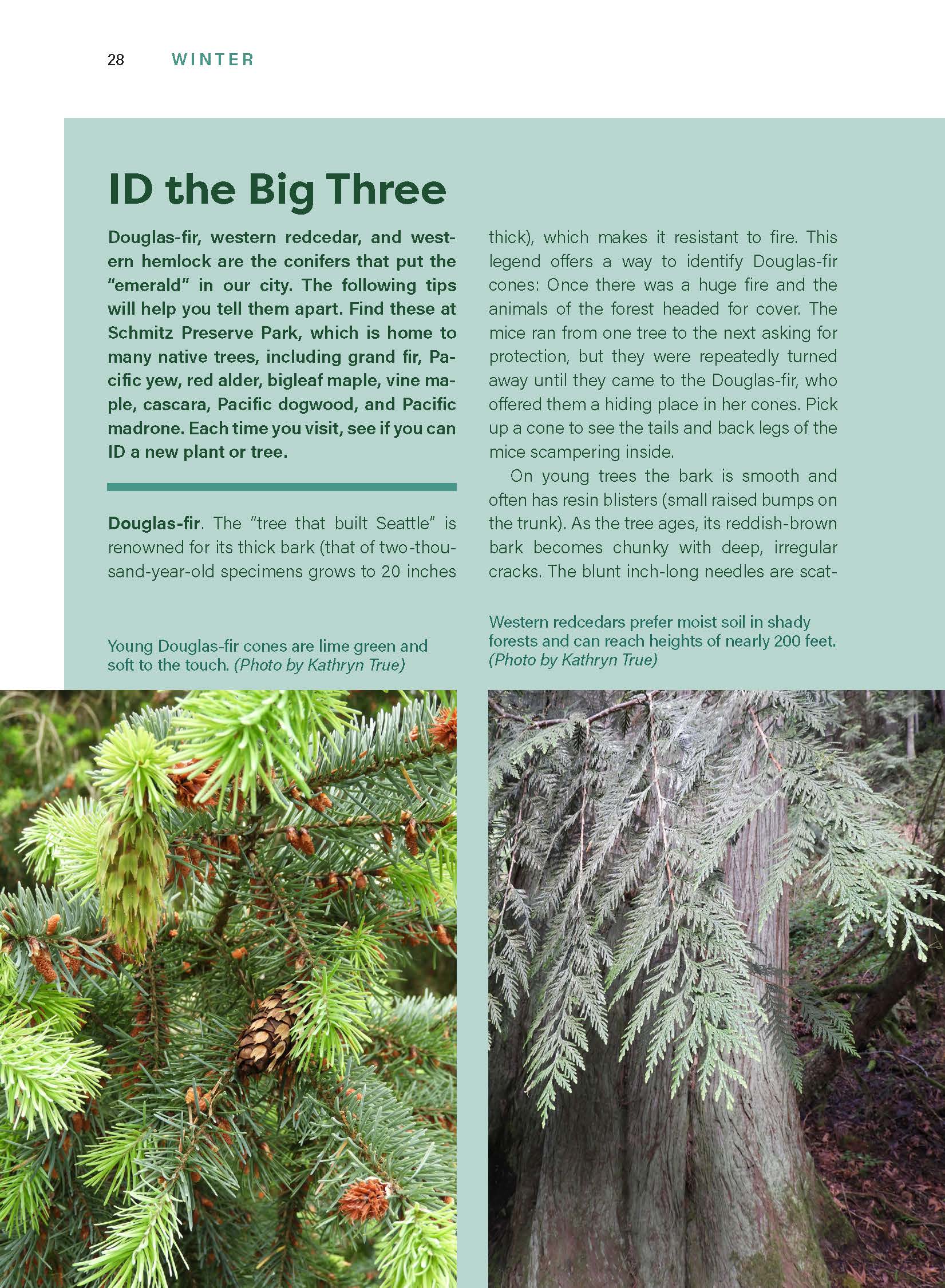 Seattle Field Guide: Explore Nature in the City