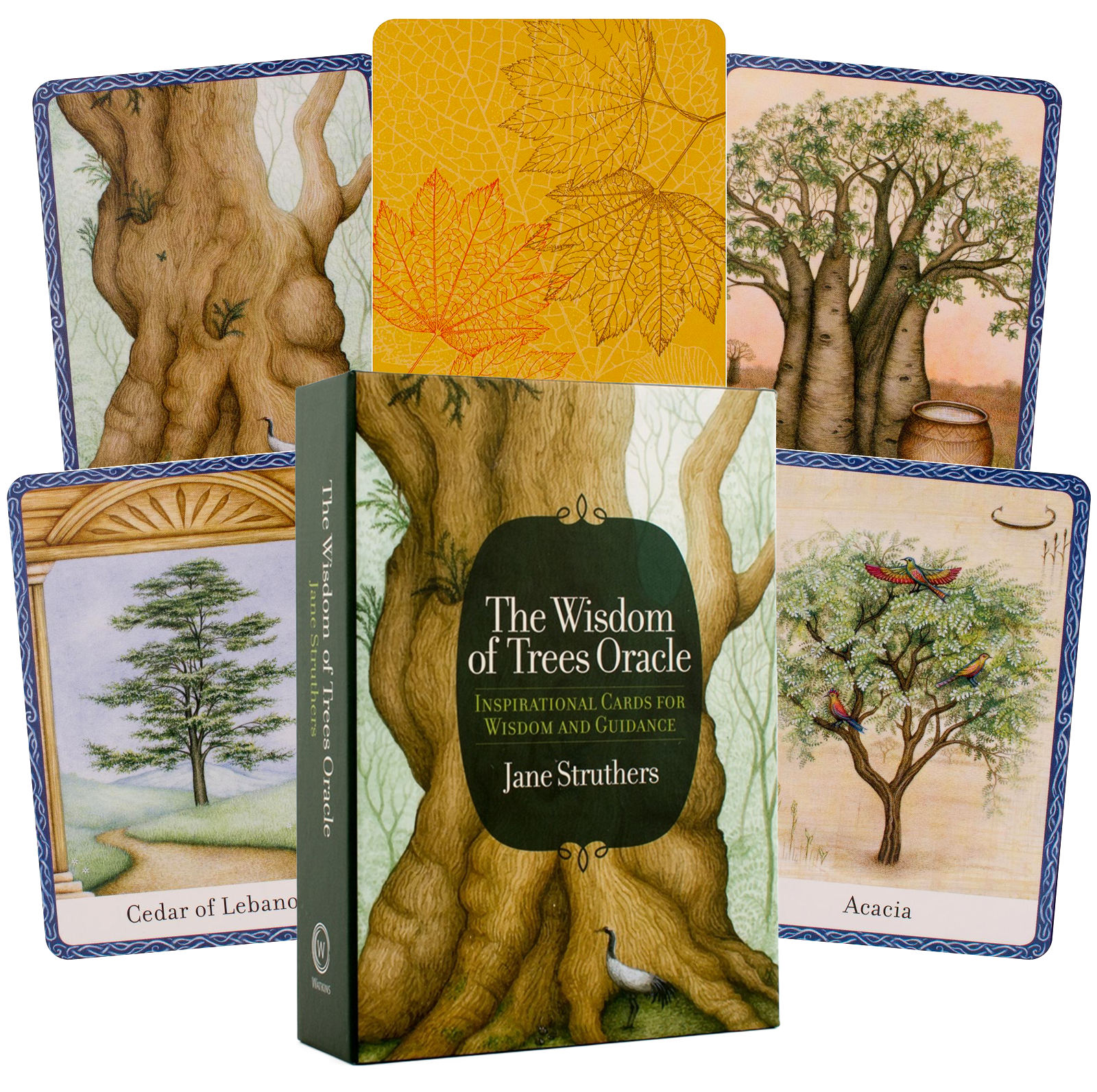 Wisdom Of Trees Oracle Cards Watkins Publishing