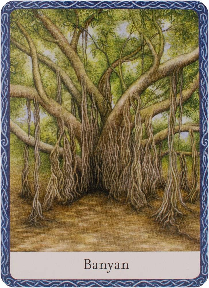 Wisdom Of Trees Oracle Cards Watkins Publishing