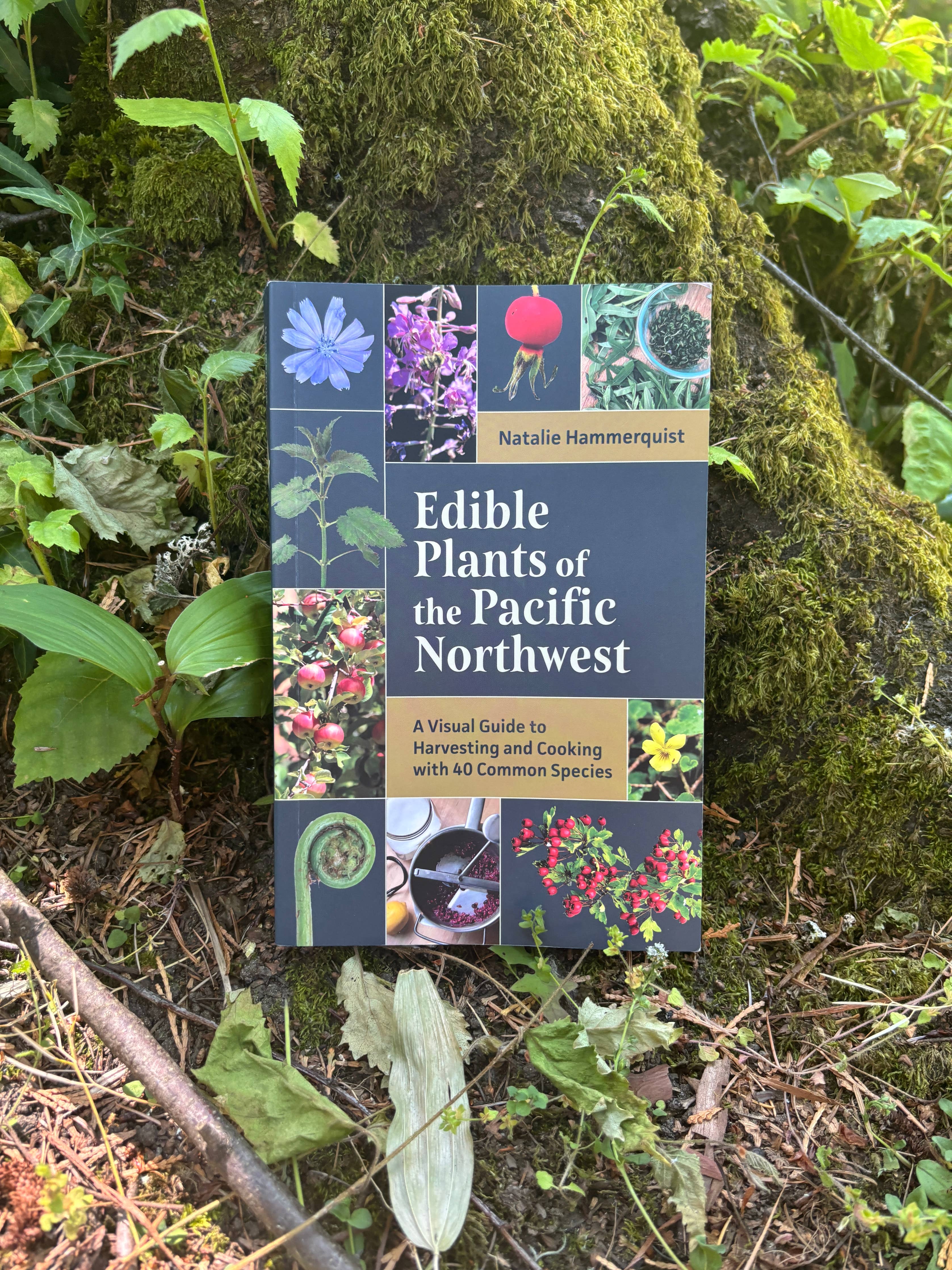 Edible Plants of the Pacific Northwest