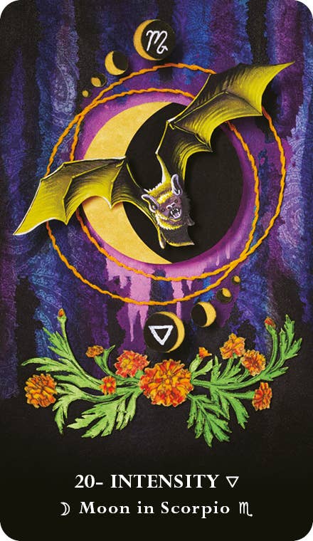MicroCosmic Oracle